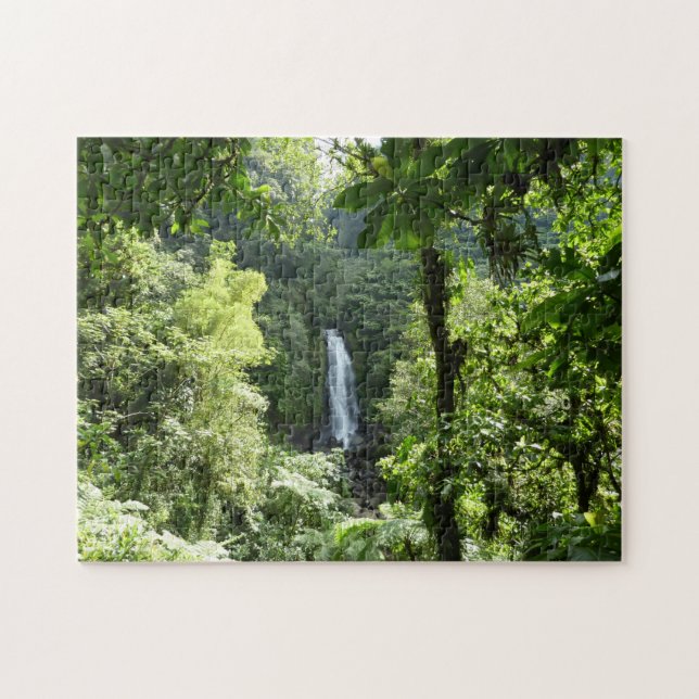 Puzzle Trafalgar Falls Tropical Rainforest Photographie (Horizontal)