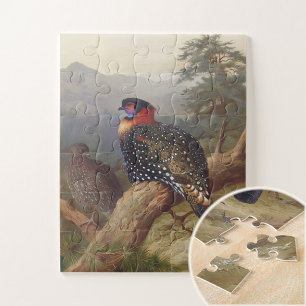 Puzzle Tragopan occidental, Illustrations d'oiseaux
