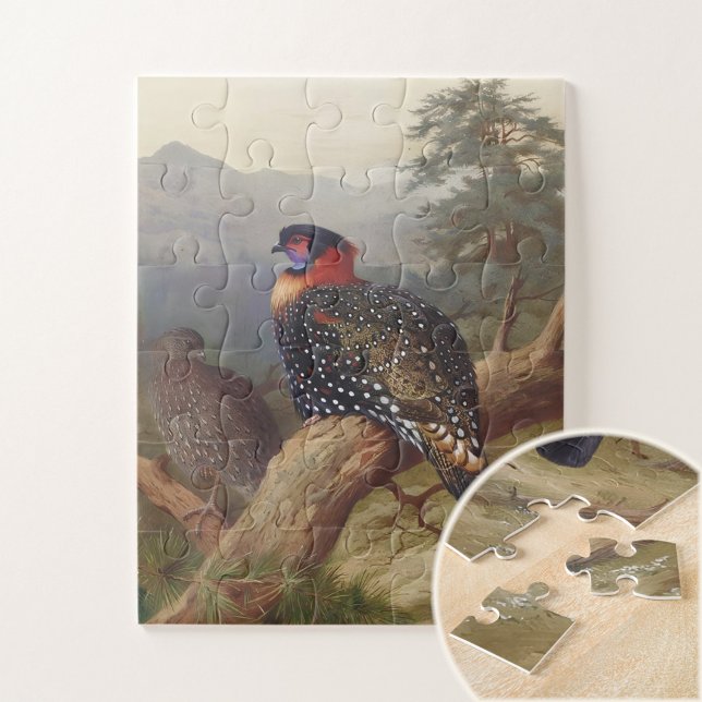 Puzzle Tragopan occidental, Illustrations d'oiseaux (Créateur téléchargé)