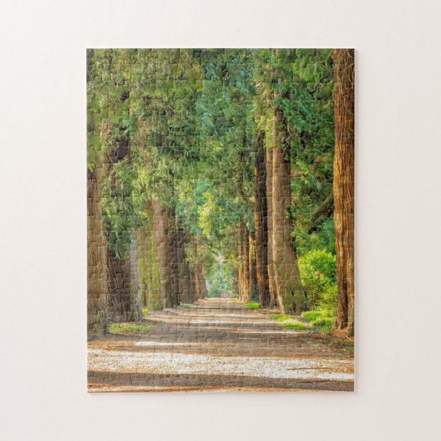 PUZZLE TRAIL DE TRAINQUIL DES BOIS FORESTIERS JIGSAW PUZZ (Vertical)