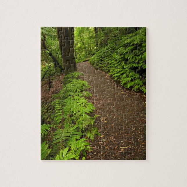Puzzle Trail Through the Forest (Vertical)