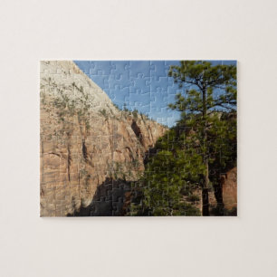 Puzzle Trail to Angels Landing in Zion National Park