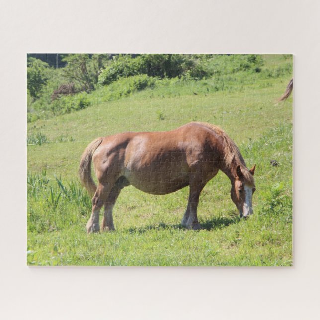 Puzzle Trait Breton cheval dans un champ (Horizontal)