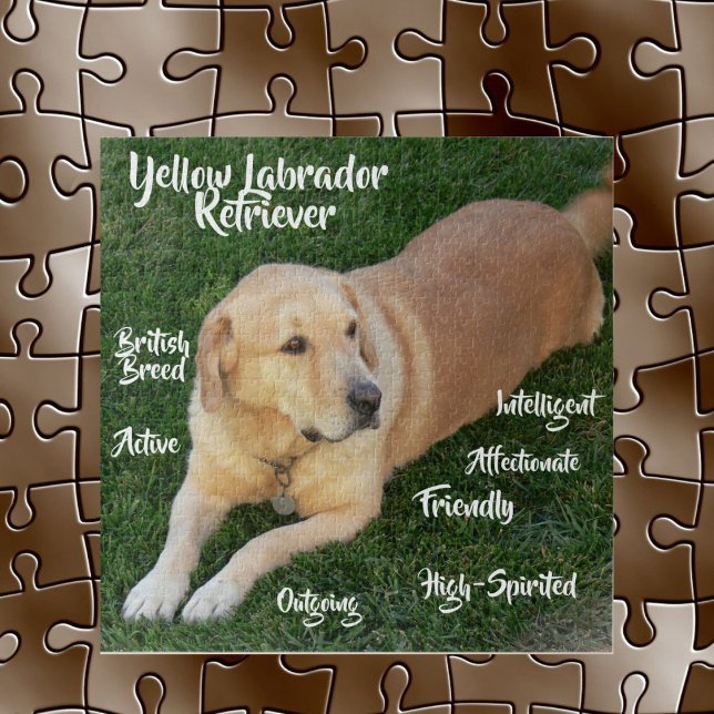 Puzzle Traits de Labrador Retriever Jaune Jeu (Créateur téléchargé)