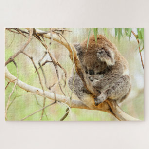 Puzzle TRANQUIL KOALA 20x30 POUCES