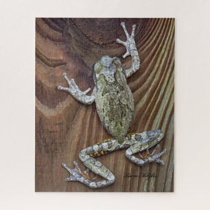 Puzzle Treefrog sur la barrière de cèdre