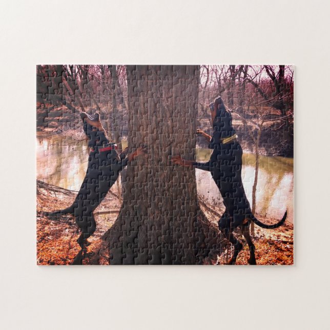 Puzzle Treer Les Coons Noirs Et Tans Sur La Rivière (Horizontal)