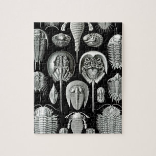 Puzzle Trilobites et fossiles en noir et blanc