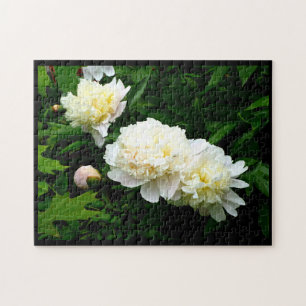 Puzzle Trio de Pivoine Blanche