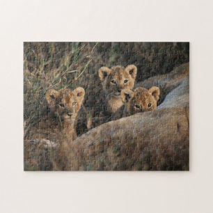 Puzzle Trio des petits Lion de six semaines assis