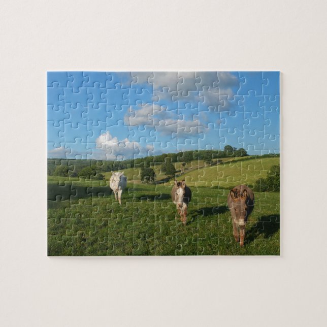 Puzzle Trois ânes dans un domaine (Horizontal)