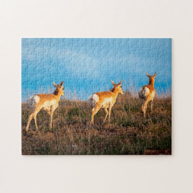 Puzzle Trois antilopes s'éloignant au coucher du soleil (Horizontal)