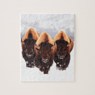 Puzzle Trois bisons