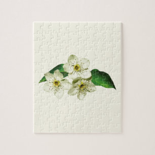 Puzzle Trois bourgeons de pommier