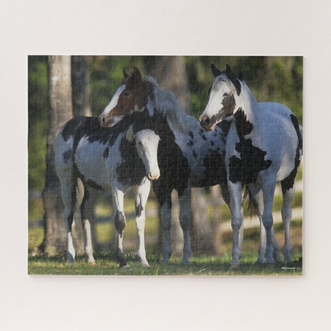 Puzzle Trois Chevaux De Peinture Se Trouvent Ensemble (Horizontal)