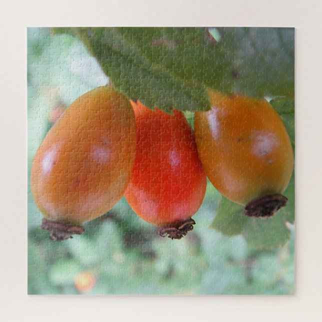 Puzzle Trois cynorhodons orange (Vertical)