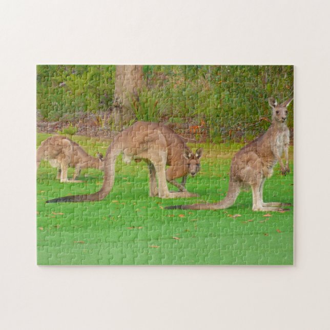 Puzzle trois kangourous (Horizontal)