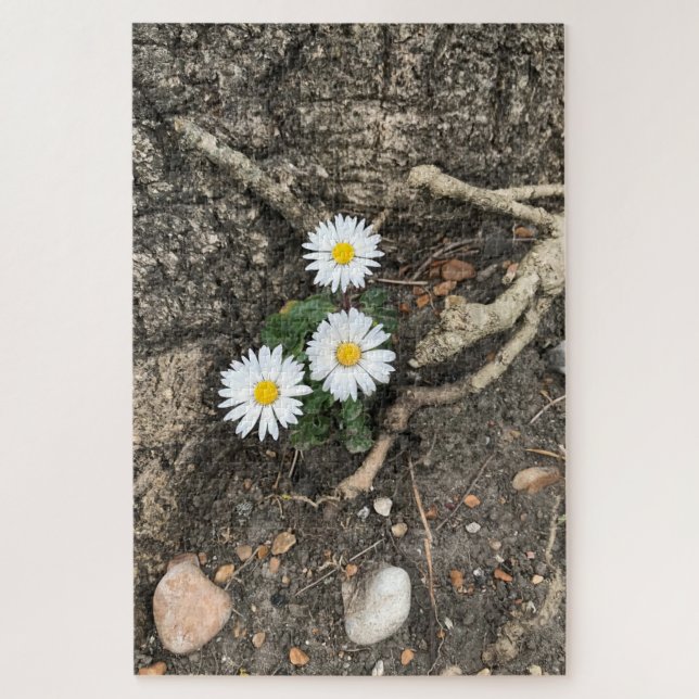 Puzzle Trois marguerites parfaites contre un tronc d'arbr (Vertical)