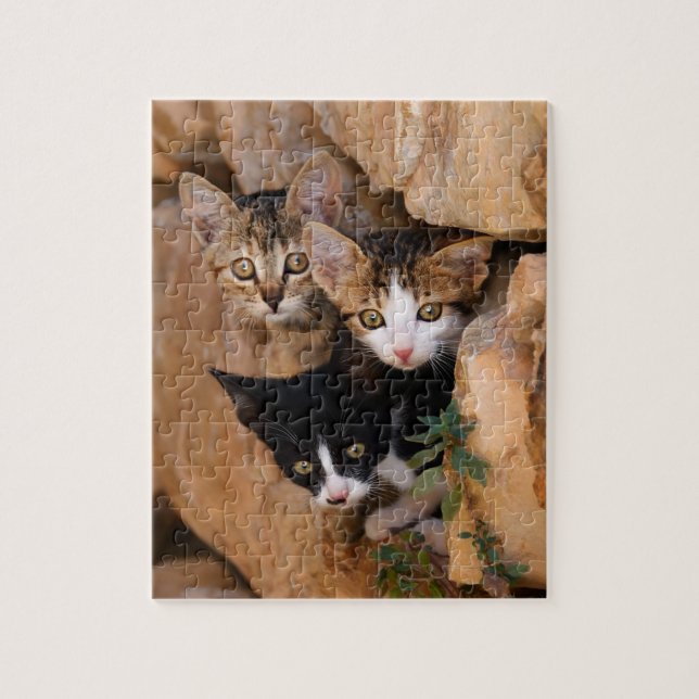 Puzzle Trois mignons chatons curieux dans un mur (Vertical)