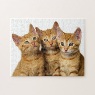 Puzzle Trois mignons Ginger Chat Kittens amis Photo de la