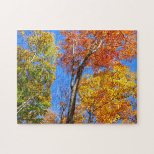 Puzzle Trois nuances d'érables d'automne colorés