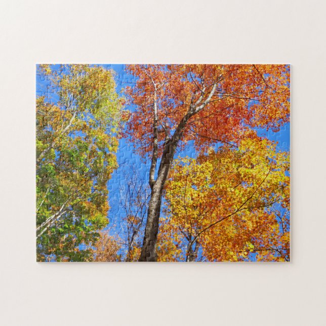 Puzzle Trois nuances d'érables d'automne colorés (Horizontal)