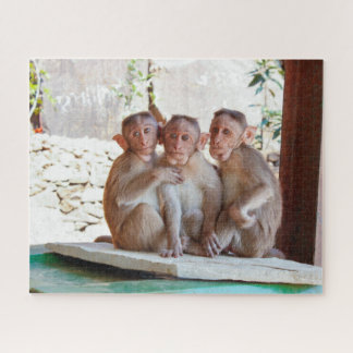 Puzzle Trois singes Ensemble Faune