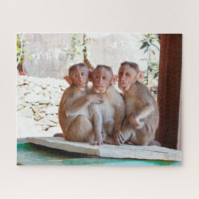 Puzzle Trois singes Ensemble Faune (Horizontal)