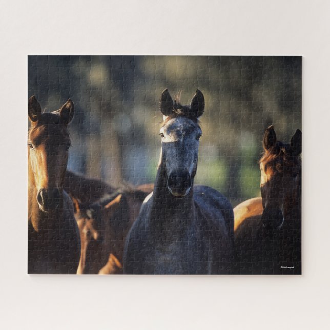 Puzzle Trois Warmblos debout debout ensemble rétroéclairé (Horizontal)