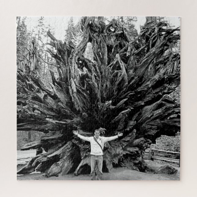 Puzzle Tronc Arbre de Sequioa Large Angle - 20x20 - 676 p (Vertical)