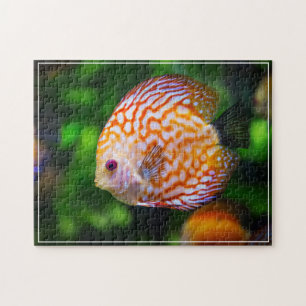 Puzzle Tropical Fish