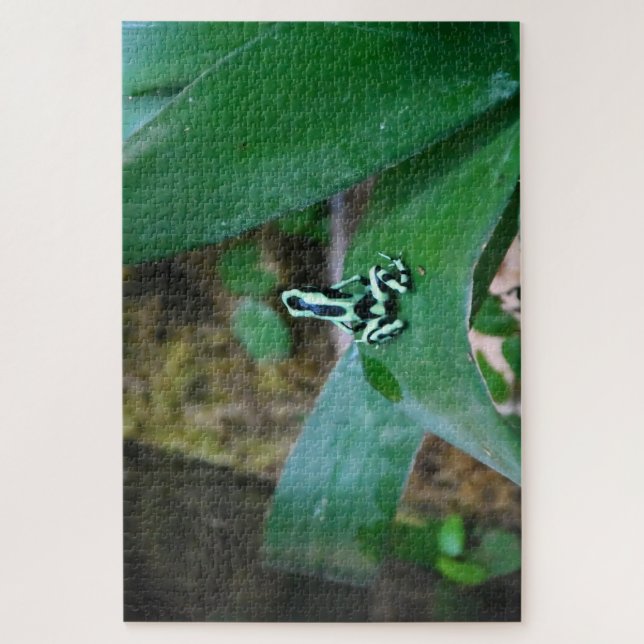 Puzzle Tropical Frogs. (Vertical)