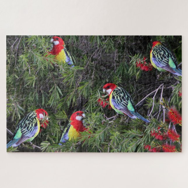 Puzzle Tropical Parrots Eastern Rosella Birds (Horizontal)