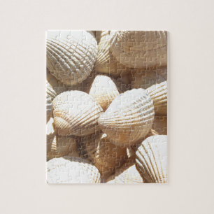 Puzzle Tropical Sunny Sea Shells