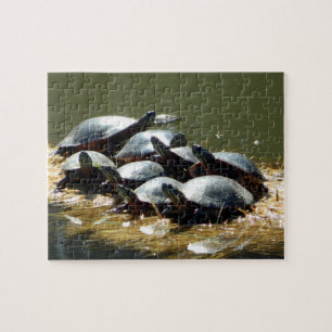 Puzzle Troupe de tortue