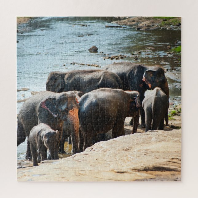 Puzzle Troupeau d'éléphants avec bébé dans l'eau (Vertical)
