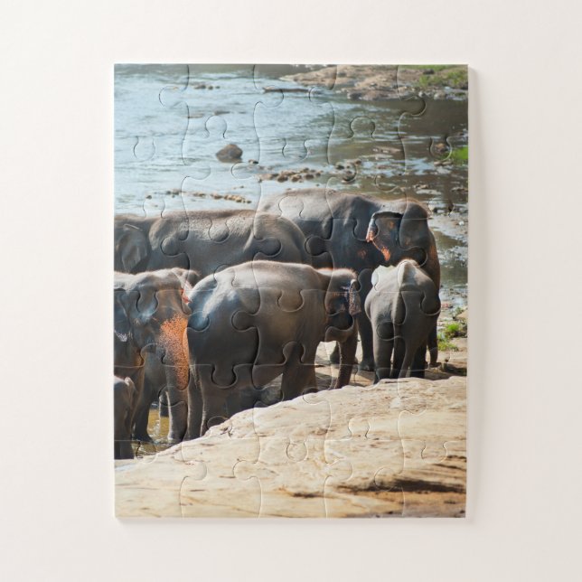 Puzzle Troupeau d'éléphants avec bébé dans l'eau (Vertical)