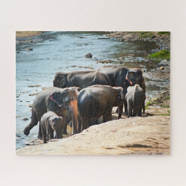 Puzzle Troupeau d'éléphants avec bébé dans l'eau (Horizontal)