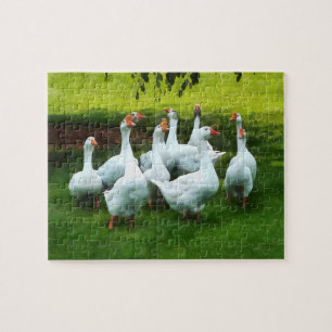 Puzzle Troupeau d'oies