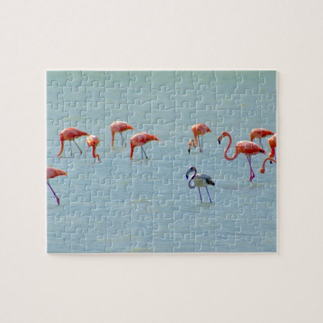 Puzzle Troupeau gris et rose de flamants dans le lac (Horizontal)