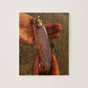Puzzle Trout in Hands