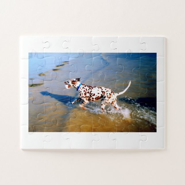 Puzzle Trouvez le chien dalmate (Horizontal)