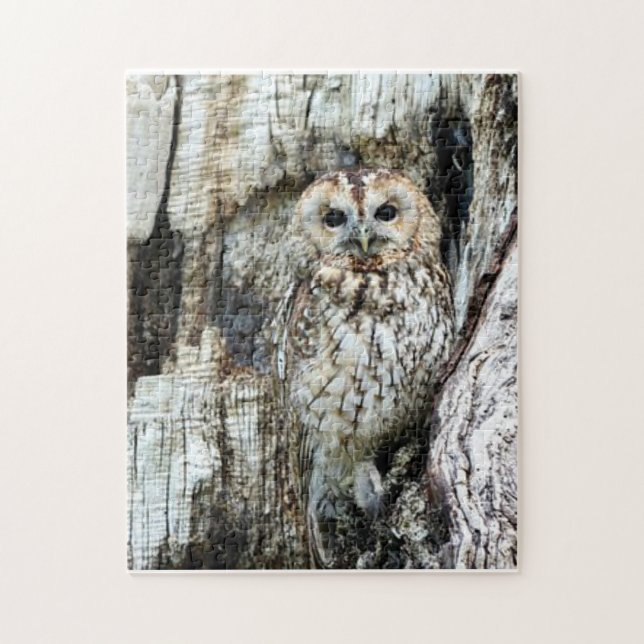 Puzzle Trouvez le hibou (Vertical)
