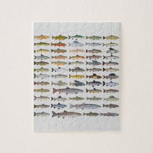 Puzzle Truite, omble, Grayling, Hucho et Whitefish Group