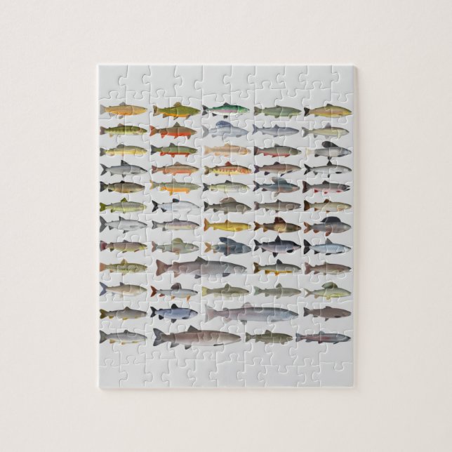 Puzzle Truite, omble, Grayling, Hucho et Whitefish Group (Vertical)