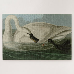 Puzzle Trumpeter Swan