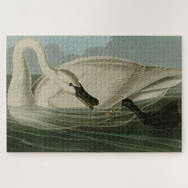 Puzzle Trumpeter Swan (Horizontal)