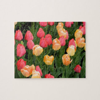 Puzzle Tulip Bouquet