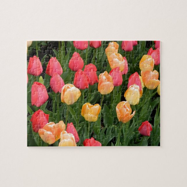 Puzzle Tulip Bouquet (Horizontal)