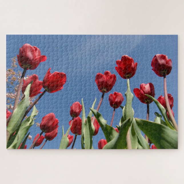 Puzzle Tulipe Triomphe (Tulipa) "Reinier Paping" (Horizontal)